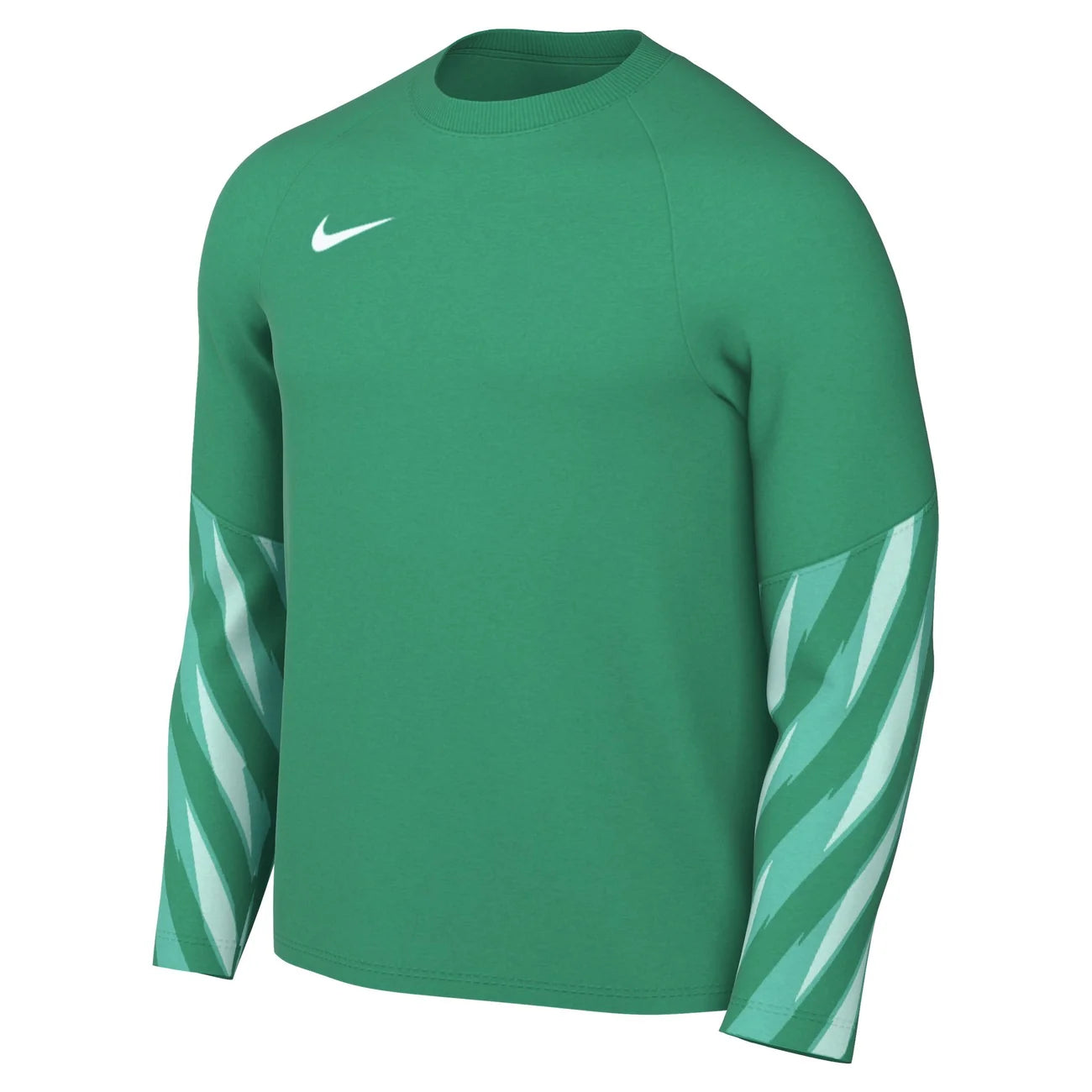 Nike Park V Jersey GK (Youth)
