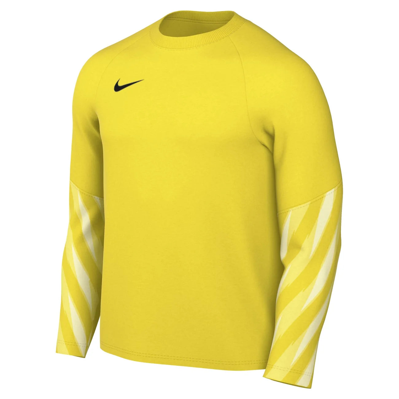 Nike Park V Jersey GK (Youth)