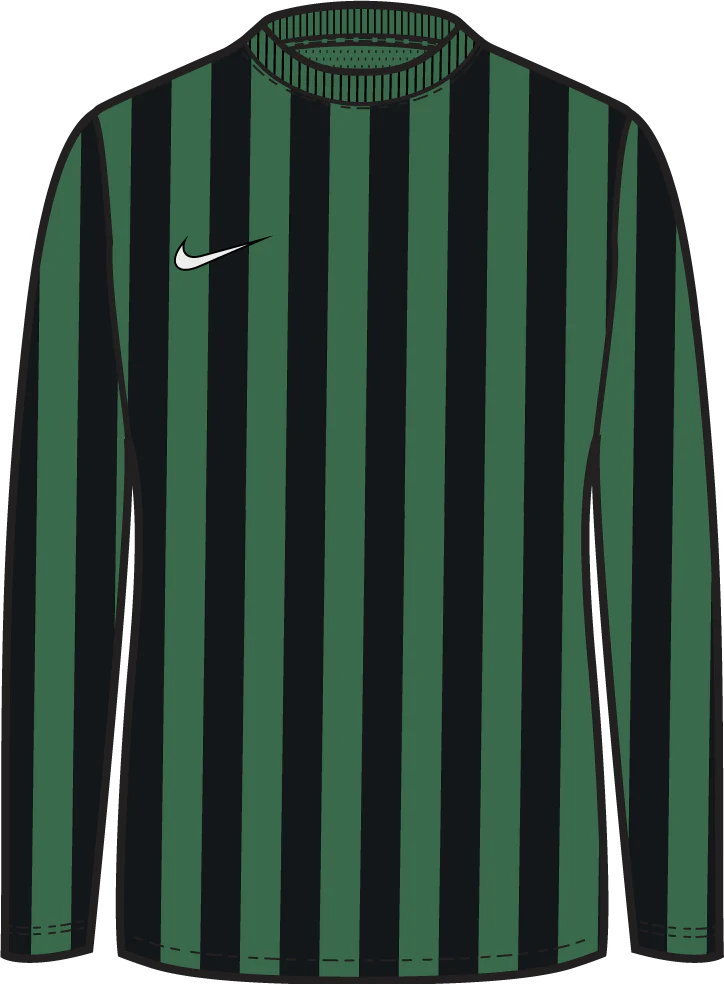Striped Division IV Jersey L/S (Youth) 2021
